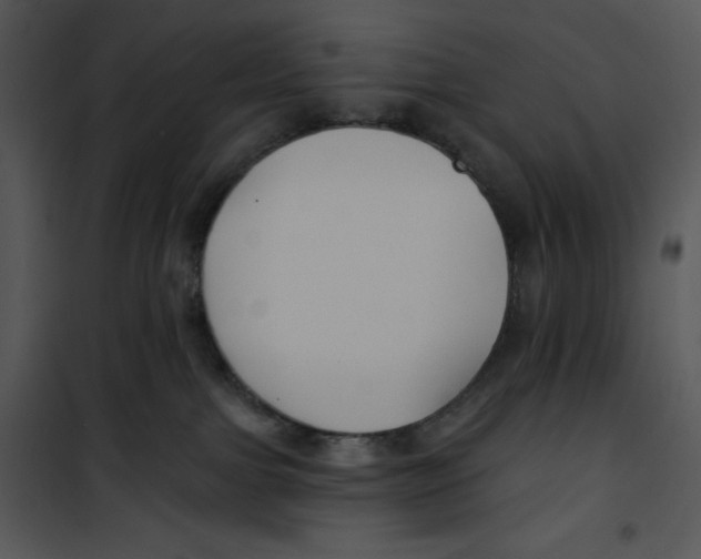 X0000100890091200807221001