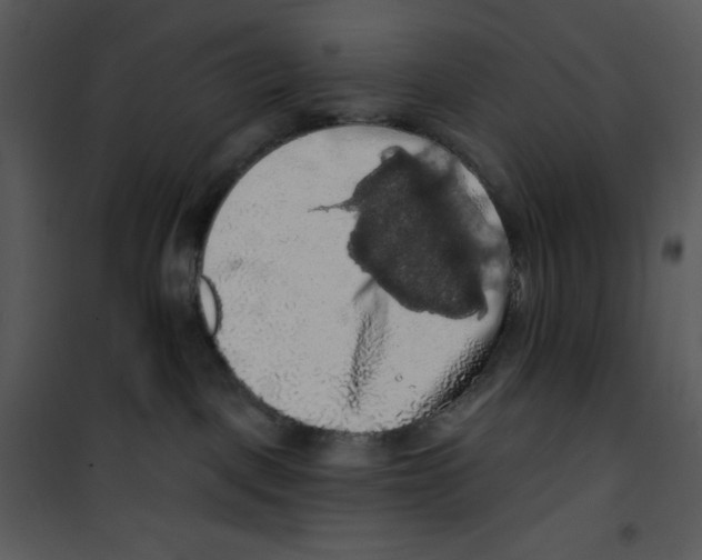 X0000100890093200807221001