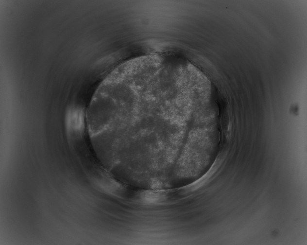 X0000100890094200807221001