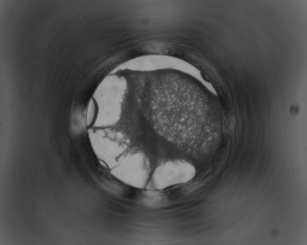 X0000100890095200807221001