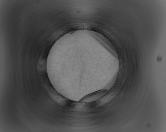 X0000100890096200807221001