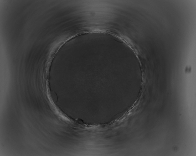 X0000100890097200807221001