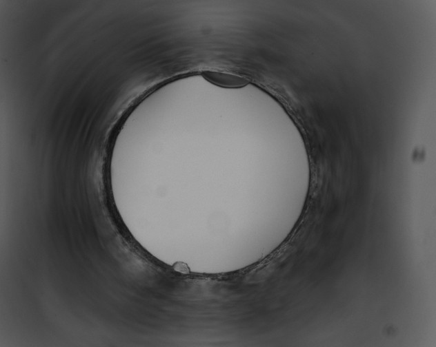 X0000100890098200807221001