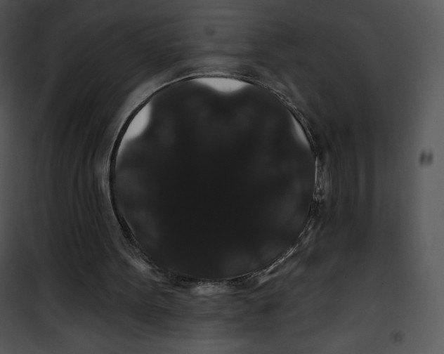 X0000100890099200807221001