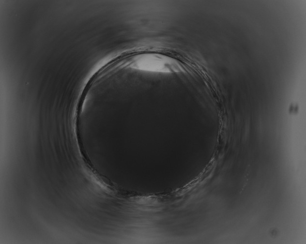 X0000100890100200807221001