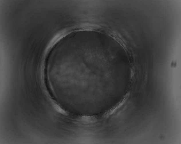 X0000100890101200807221001