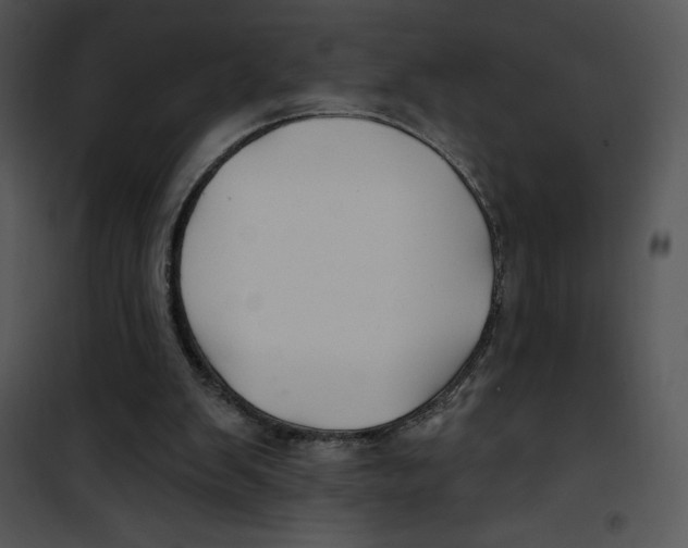 X0000100890103200807221001