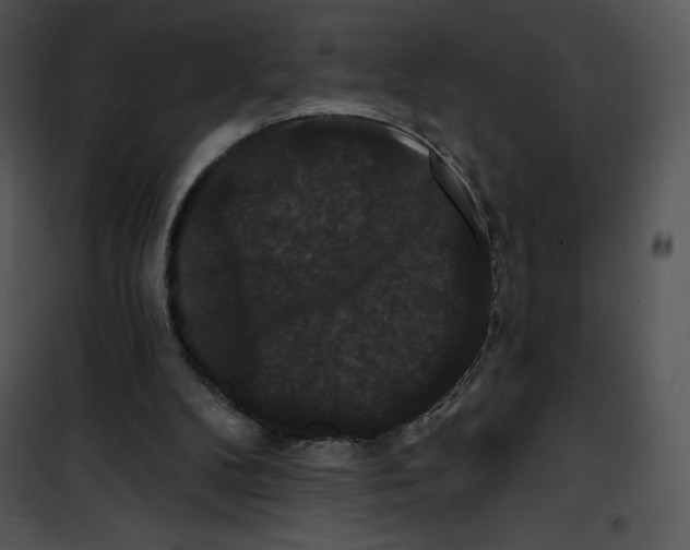 X0000100890104200807221000