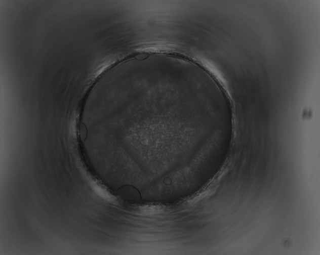 X0000100890105200807221000