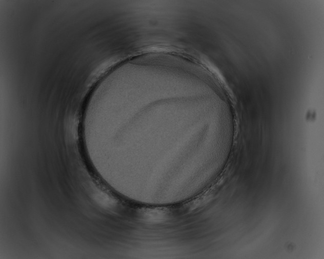 X0000100890106200807221000