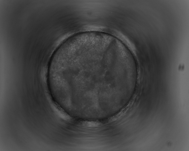 X0000100890107200807221000