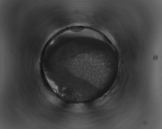 X0000100890108200807221000