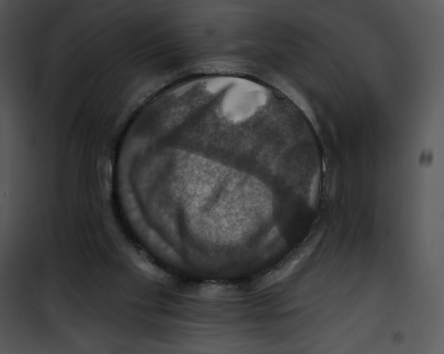 X0000100890109200807221000