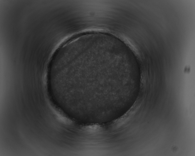 X0000100890112200807221000