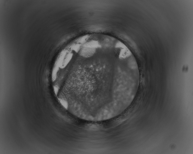 X0000100890115200807221000