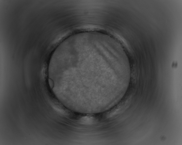 X0000100890119200807221000