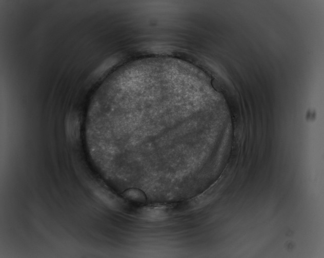 X0000100890120200807221000