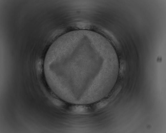 X0000100890121200807221000