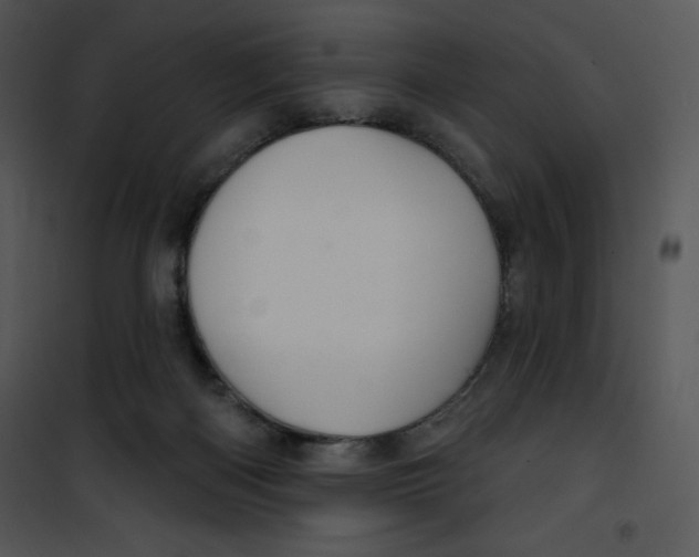 X0000100890122200807221000