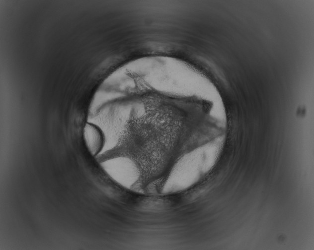 X0000100890123200807221000