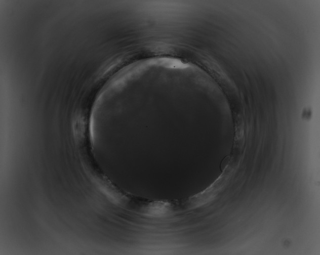 X0000100890124200807221000