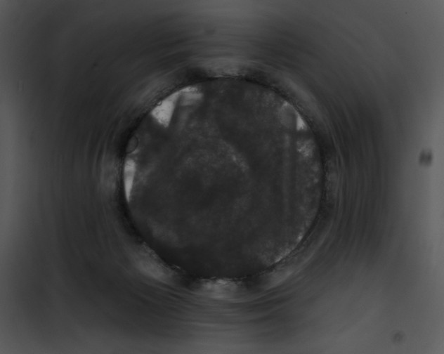 X0000100890125200807221000