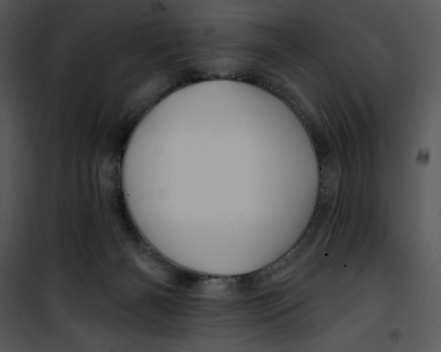 X0000100890126200807221000