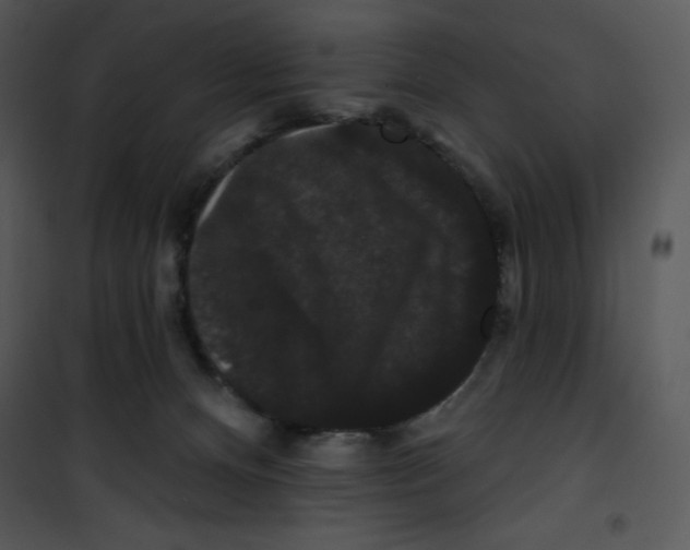 X0000100890128200807221000