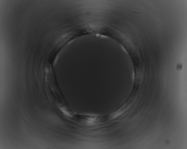 X0000100890130200807221000