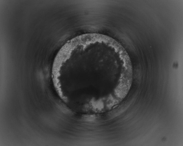 X0000100890131200807221000