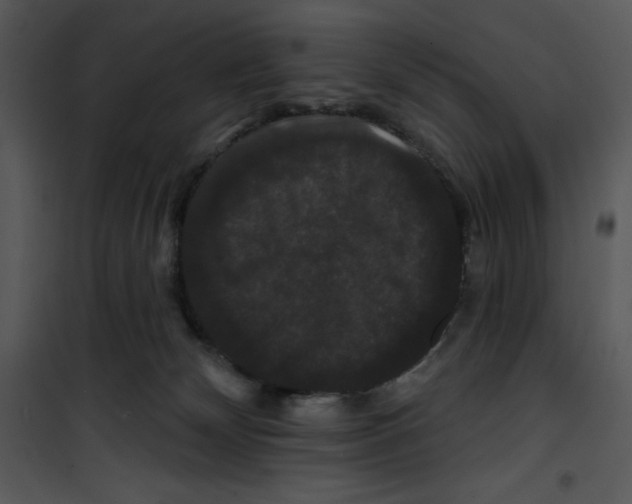 X0000100890132200807221000