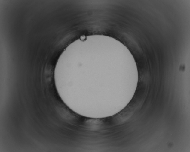 X0000100890133200807221000