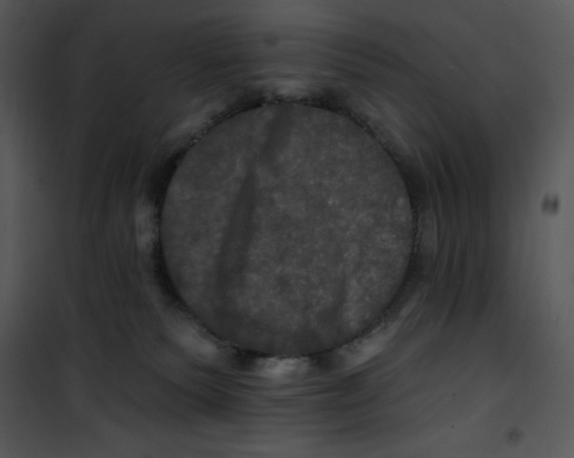 X0000100890135200807221000