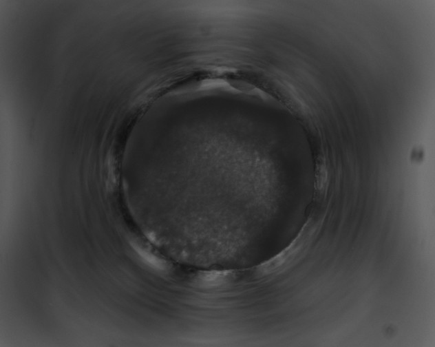 X0000100890136200807221000