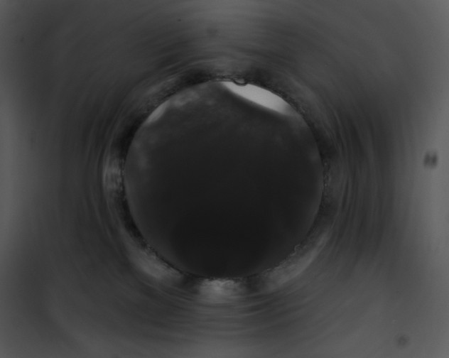 X0000100890137200807221000