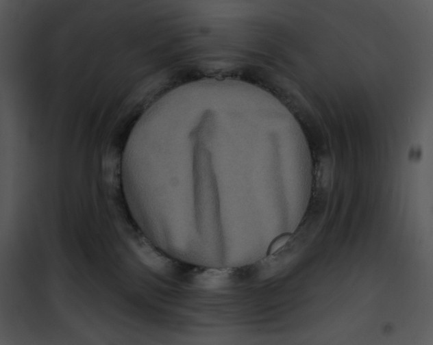 X0000100890138200807221000