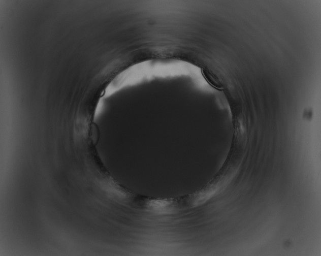 X0000100890139200807221000