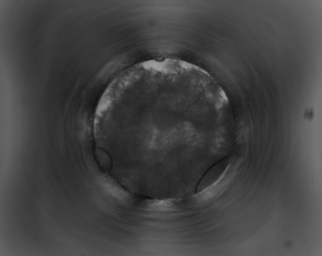 X0000100890140200807221000