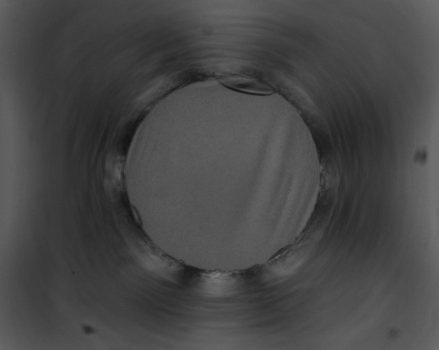 X0000100890141200807221000