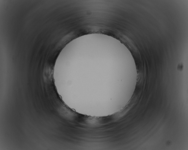 X0000100890142200807221000