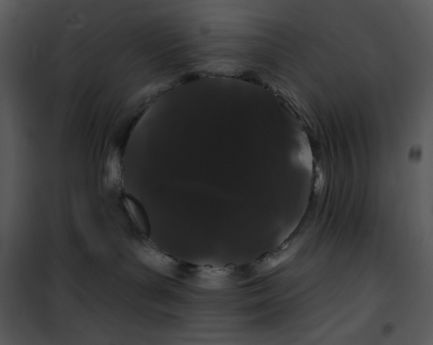 X0000100890143200807221000