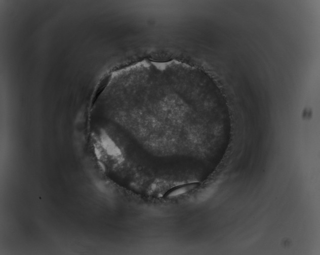 X0000100890144200807221000