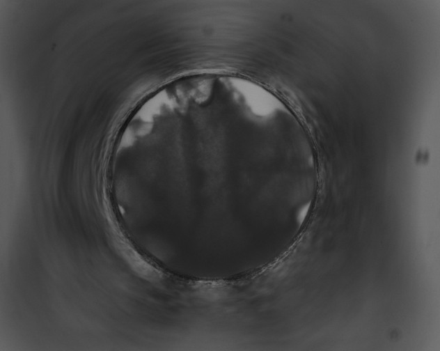 X0000100890145200807220959