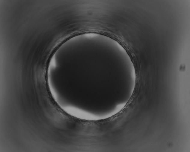 X0000100890146200807220959