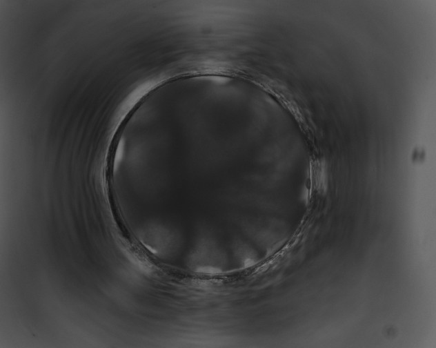 X0000100890147200807220959