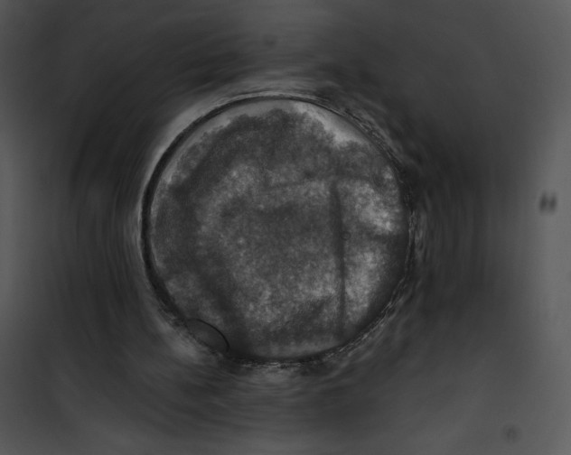 X0000100890148200807220959