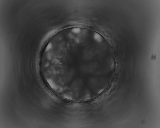 X0000100890149200807220959