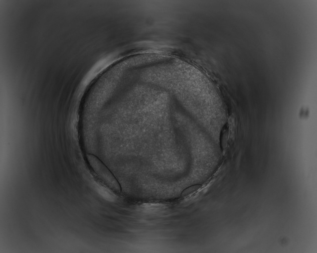 X0000100890150200807220959