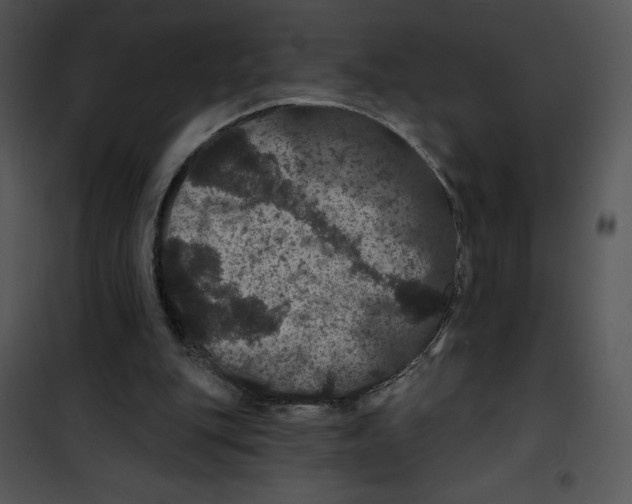 X0000100890151200807220959