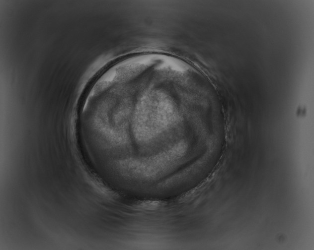 X0000100890152200807220959